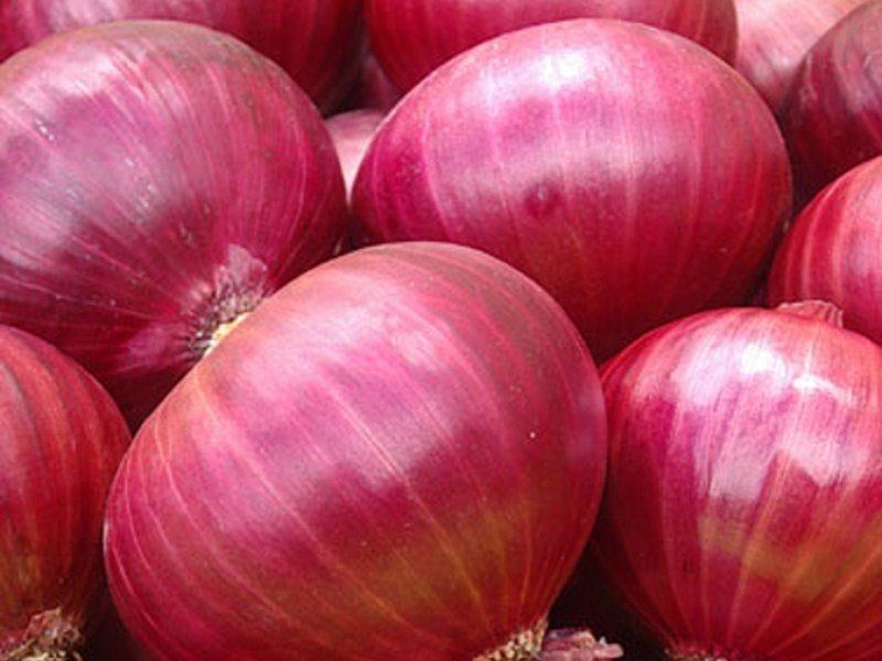 onion